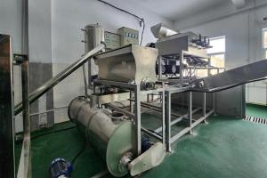 Extrusion Type Vermicelli Line