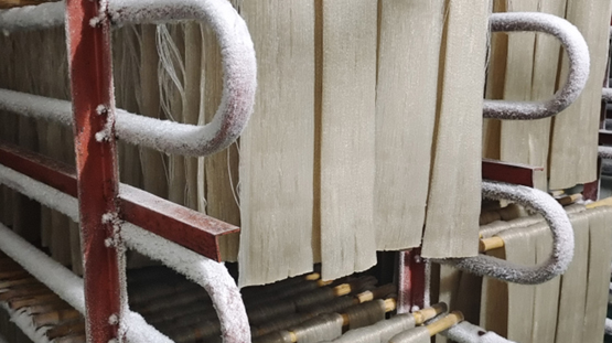 Freezing Aging (Cryogenic Aging) — The Core 