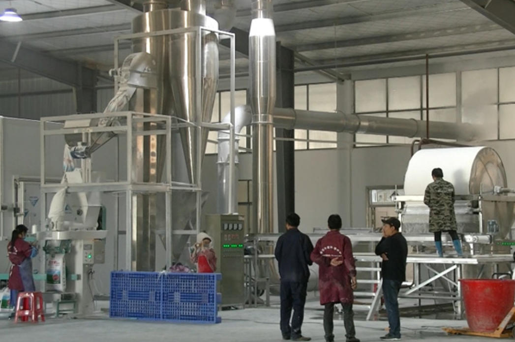 cassava-drying-machine