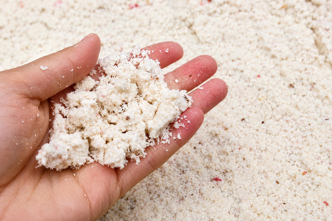 cassava-processing